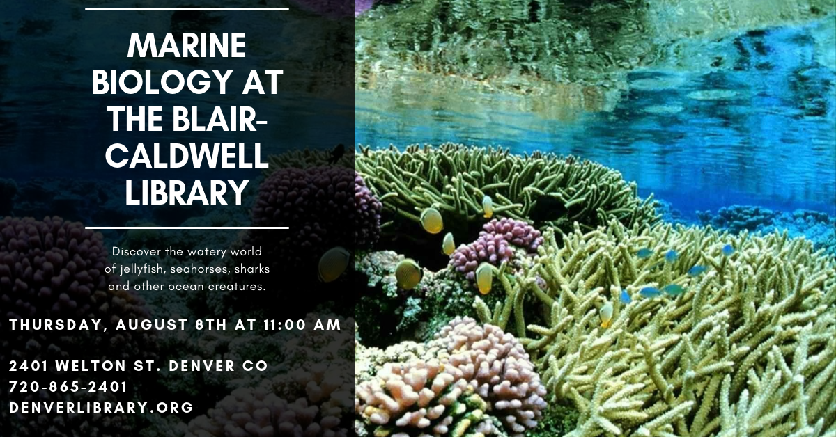 CU Science Presents Marine Biology - Summer of Adventure Program